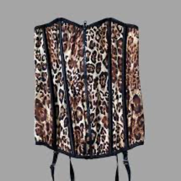 Leopard Print Corset - Lace up Back - Zip Up Front - With Thong and Garters NEW - Picture 3 of 7